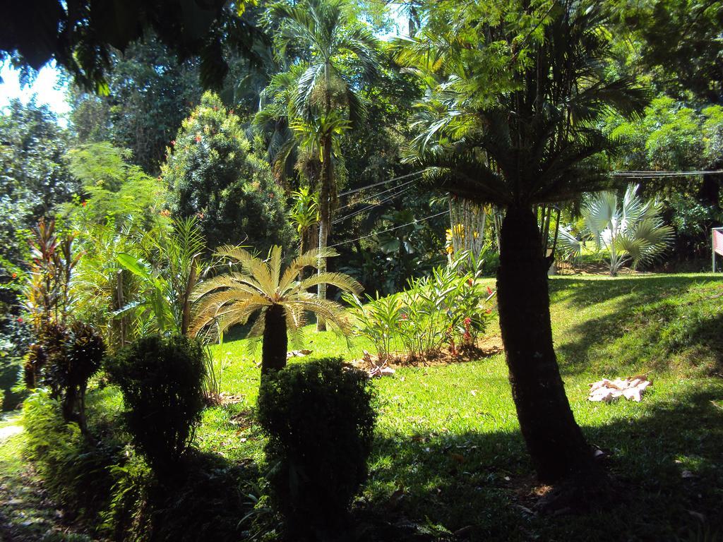 La Purruja Lodge Golfito Esterno foto
