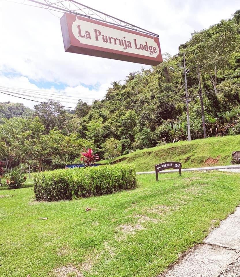 La Purruja Lodge Golfito Esterno foto